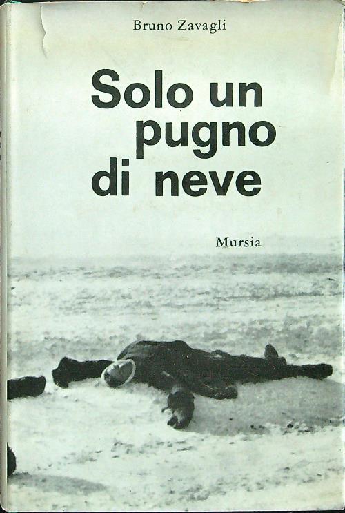 Solo un pugno di neve - Bruno Zavagli - copertina