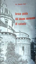 Breve guida del duomo normanno di Catania
