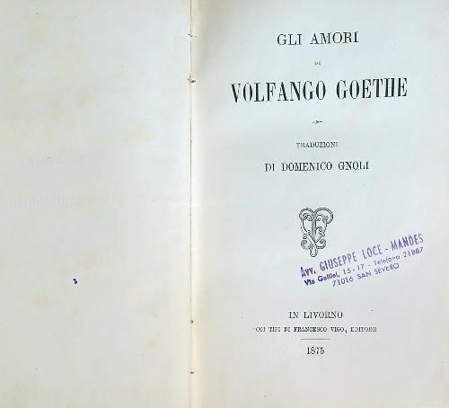 Gli amori di Volfango Goethe - Domenico Gnoli - copertina