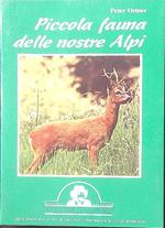 Piccola fauna delle nostre Alpi