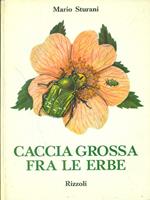 Caccia grossa fra le erbe