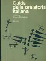 Guida della preistoria italiana