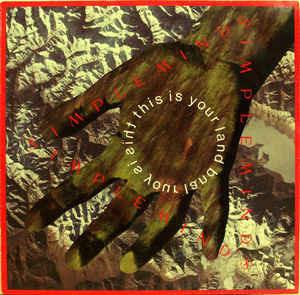 This Is Your Land - Vinile LP di Simple Minds