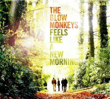 Feels Like a New Morning - CD Audio di Blow Monkeys