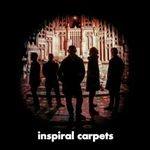 Inspiral Carpets - Vinile LP di Inspiral Carpets