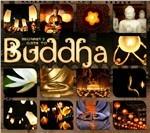 Beginners Guide To Buddha - CD Audio