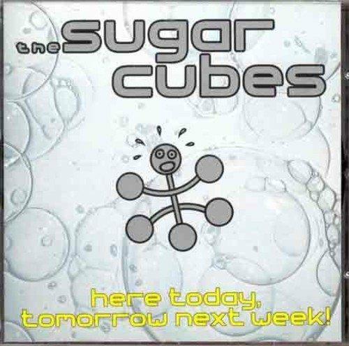 Here Today Tomorrow Next - Vinile LP di Sugarcubes