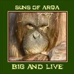 Big and Live - CD Audio di Suns of Arqa