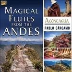 Magic Flute From - CD Audio di Pablo Carcamo