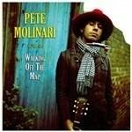 Walking Off the Map - Vinile LP di Pete Molinari