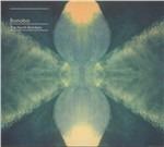 The North Borders - CD Audio di Bonobo