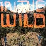 In the Wild - Vinile LP di Falty Dl