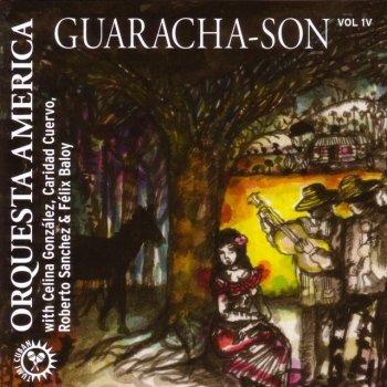 Guarcha - CD Audio di Orquesta America