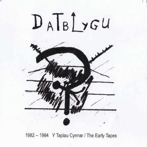 1982-1984. The Early Tapes - CD Audio di Datblygu