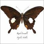 Papilio Noblei - CD Audio di Rank Ensemble