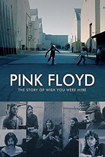 Pink Floyd. The Story of Wish You Were Here (DVD) - DVD di Pink Floyd