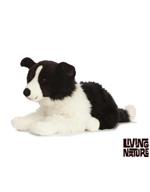 Border Collie Gigante (An481)