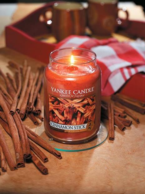 Yankee Candle 1743381E candela di cera Rotondo Cannella, Zucca Beige