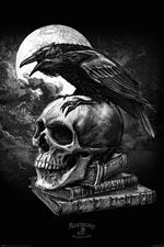 Poster Maxi 61X91,5 Cm Alchemy Poe'S Raven