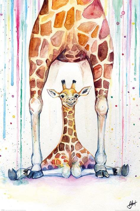 Poster 61X91,5 Cm. Marc Allante: Gorgeous Giraffes