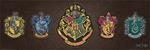 Poster Harry Potter. Crests