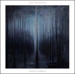 Night Forest - Vinile LP di Ilya Beshevli