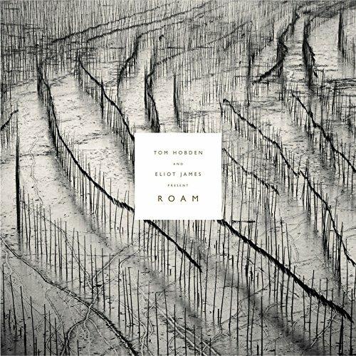 Tom Hobden & Eliot James - Vinile LP di Tom Hobden