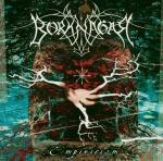 Empiricism - CD Audio di Borknagar