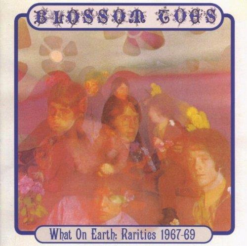 What on Earth. Rarities 1967-1969 - CD Audio di Blossom Toes