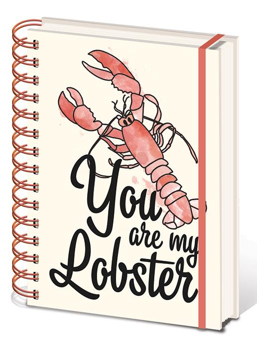 Quaderno Friends. You Are My Lobster -A5 Wiro Notebook- - Pyramid - Idee  regalo | IBS