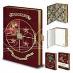 Harry Potter Agenda A5 Premium Stare Insieme Pyramid International