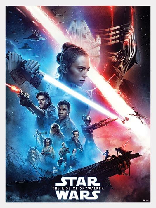 Star Wars: The Rise Of Skywalker Saga (Stampa Su Tela 60X80 Cm)