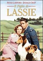 Il figlio di Lassie