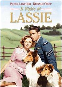 Il figlio di Lassie di S. Sylvan Simon - DVD