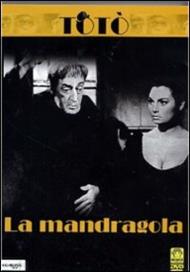 La mandragola