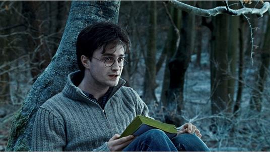 Harry Potter e i doni della morte: recensione. Parte II