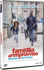 Famiglia all'improvviso. Istruzioni non incluse (DVD)