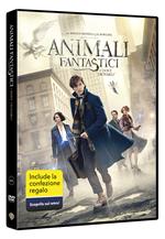 Animali fantastici e dove trovarli. Gift Pack (DVD)