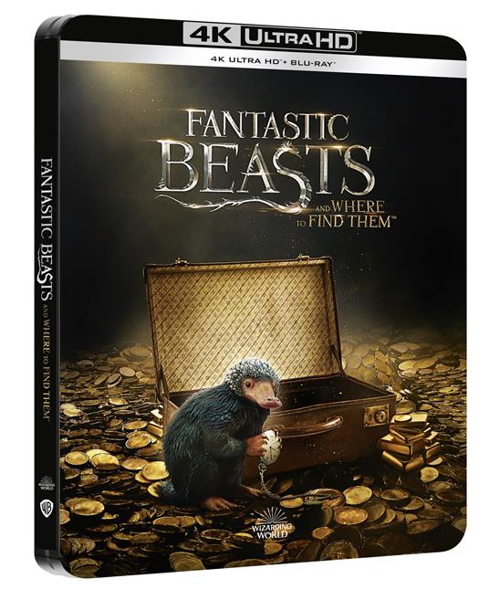 Animali fantastici e dove trovarli. Steelbook (Blu-ray + Blu-ray Ultra HD 4K) - Blu-ray + Blu-ray Ultra HD 4K