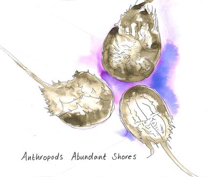 Abundant Shores - CD Audio di Anthropods