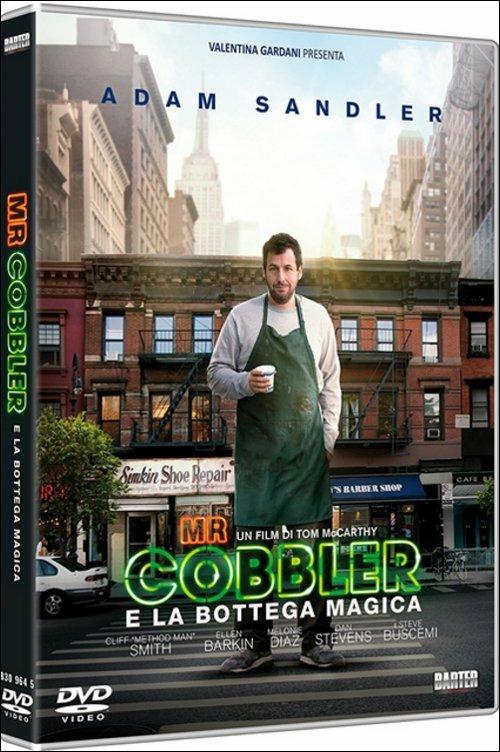 Mr Cobbler e la bottega magica (DVD) di Tom McCarthy - DVD