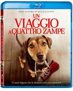 Un viaggio a quattro zampe (Blu-ray)