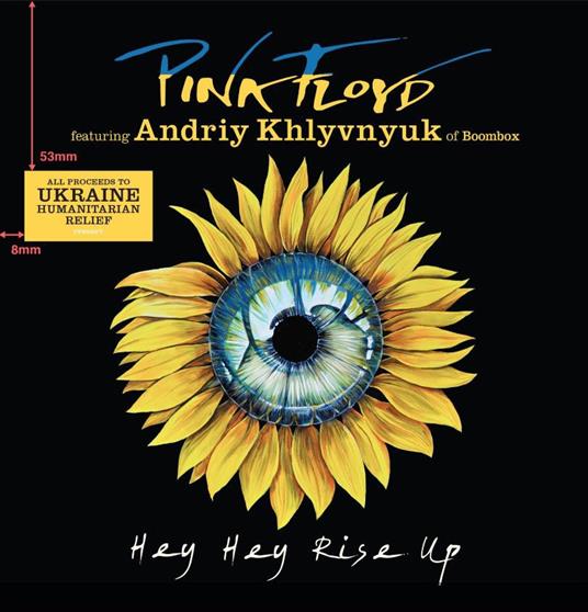 Hey Hey Rise Up (feat. Andriy Khlyvnyuk Of Boombox) - Pink Floyd - Vinile