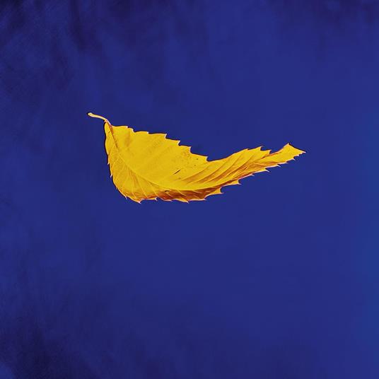 True Faith (2023 Remastered) - Vinile LP di New Order