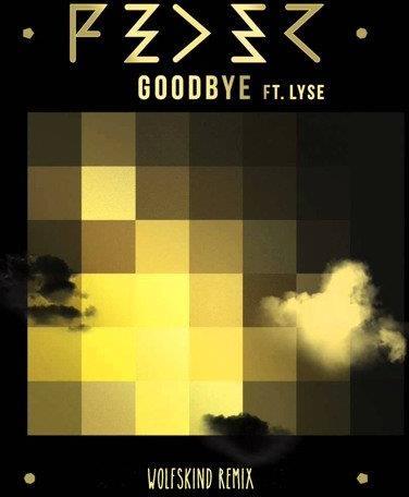 Goodbye - Vinile LP di Feder