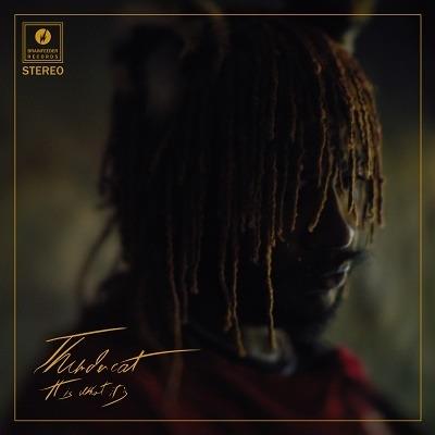 It Is What it Is Thundercat (Deluxe Clear Vinyl Edition) - Vinile LP di Thundercat