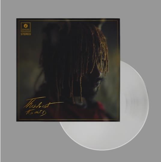 It Is What it Is Thundercat (Deluxe Clear Vinyl Edition) - Vinile LP di Thundercat - 2