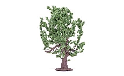 Albero Modellismo. Quercia