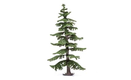 Albero Modellismo. Abete Nordico Grande