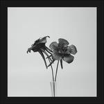 Dark Lotus - Vinile 7'' di Jlin